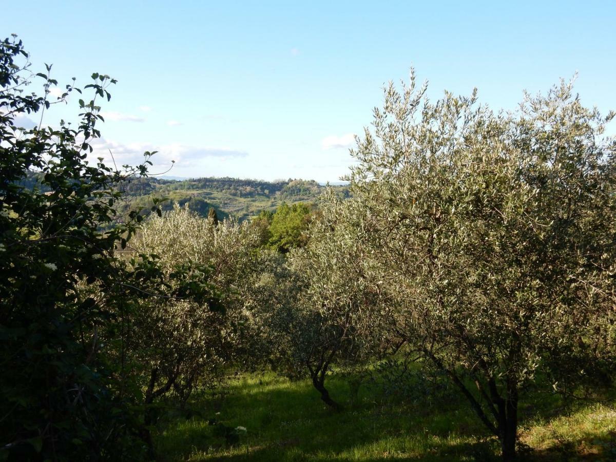 Agriturismo Anna-Rosa Legoli Exterior foto